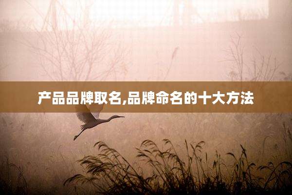 产品品牌取名,品牌命名的十大方法