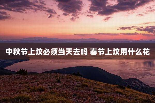中秋节上坟必须当天去吗 春节上坟用什么花