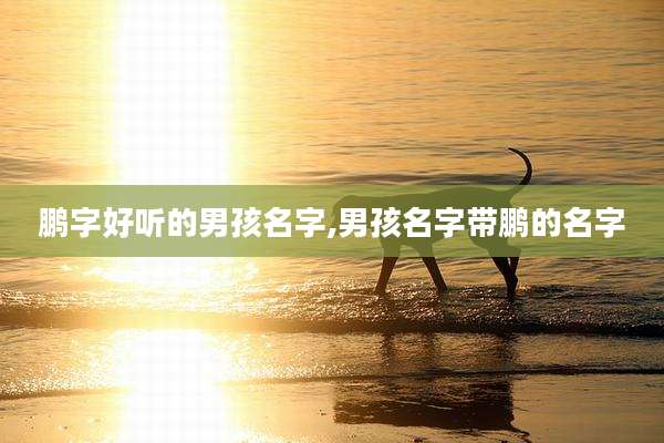 鹏字好听的男孩名字,男孩名字带鹏的名字