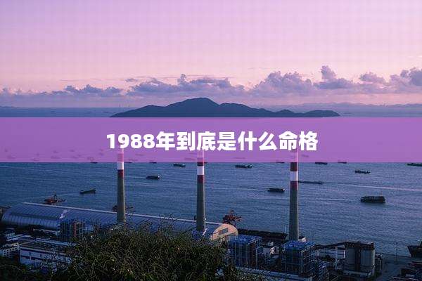 1988年到底是什么命格