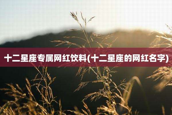 十二星座专属网红饮料(十二星座的网红名字)