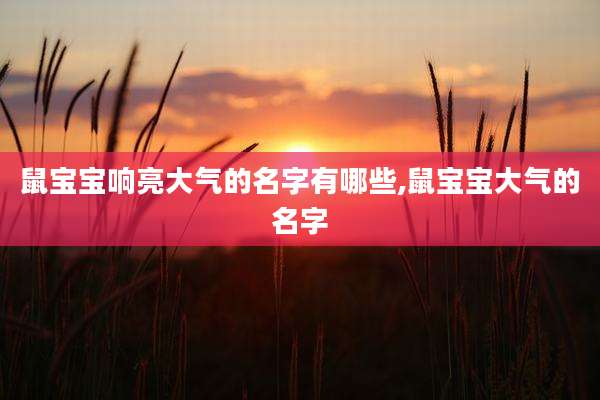 鼠宝宝响亮大气的名字有哪些,鼠宝宝大气的名字