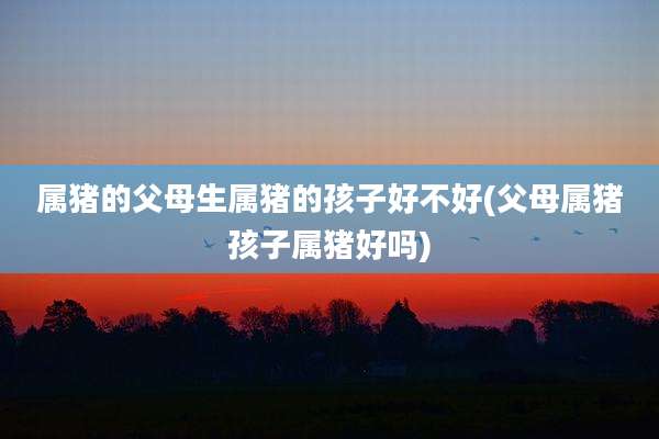 属猪的父母生属猪的孩子好不好(父母属猪孩子属猪好吗)