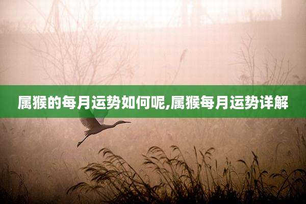 属猴的每月运势如何呢,属猴每月运势详解