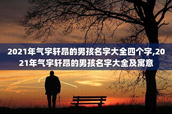 2021年气宇轩昂的男孩名字大全四个字,2021年气宇轩昂的男孩名字大全及寓意