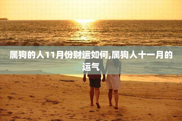 属狗的人11月份财运如何,属狗人十一月的运气