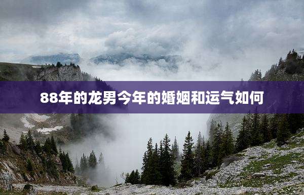 88年的龙男今年的婚姻和运气如何