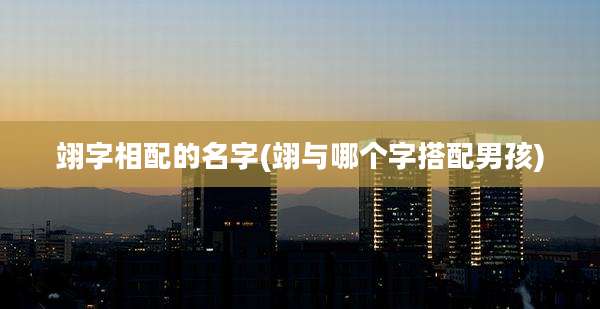 翊字相配的名字(翊与哪个字搭配男孩)