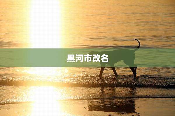 黑河市改名