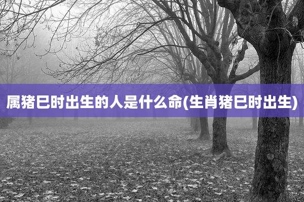 属猪巳时出生的人是什么命(生肖猪巳时出生)
