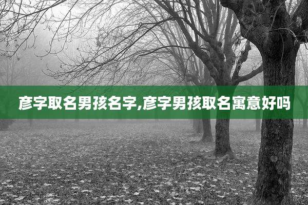 彦字取名男孩名字,彦字男孩取名寓意好吗