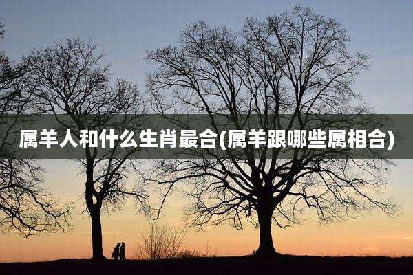 属羊人和什么生肖最合(属羊跟哪些属相合)