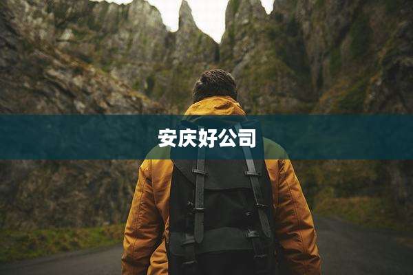 安庆好公司