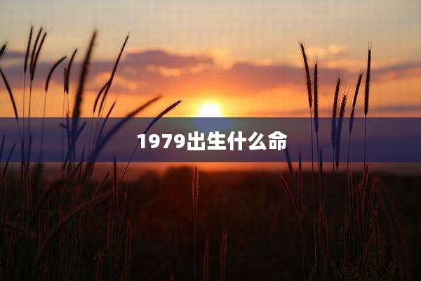 1979出生什么命