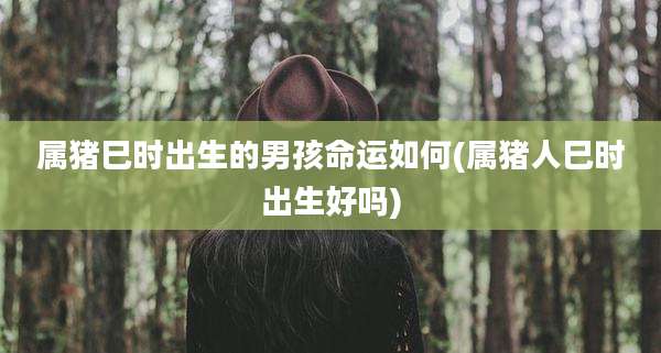 属猪巳时出生的男孩命运如何(属猪人巳时出生好吗)