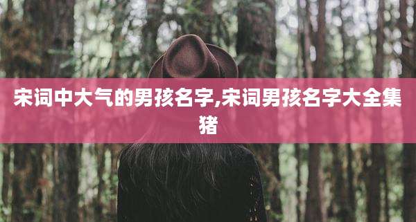 宋词中大气的男孩名字,宋词男孩名字大全集猪