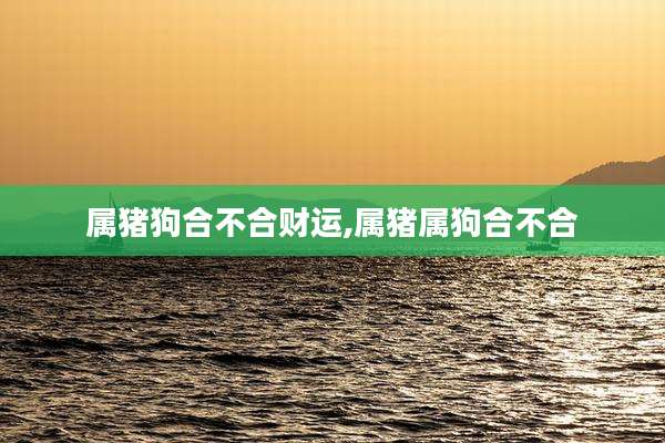 属猪狗合不合财运,属猪属狗合不合