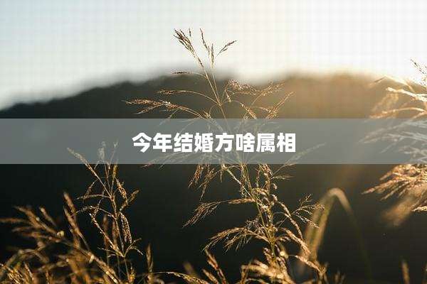 今年结婚方啥属相