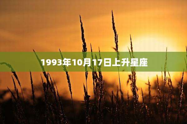 1993年10月17日上升星座