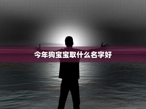 今年狗宝宝取什么名字好