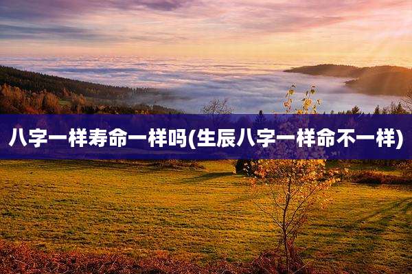 八字一样寿命一样吗(生辰八字一样命不一样)