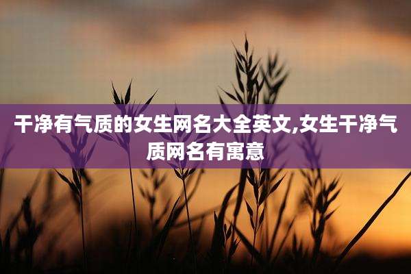 干净有气质的女生网名大全英文,女生干净气质网名有寓意