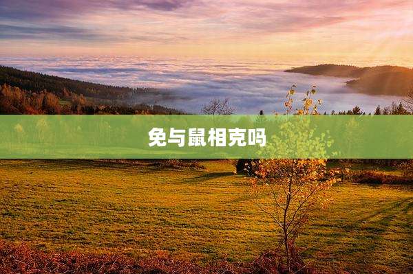 免与鼠相克吗