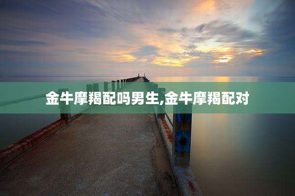 金牛摩羯配吗男生,金牛摩羯配对