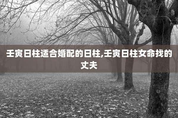 壬寅日柱适合婚配的日柱,壬寅日柱女命找的丈夫