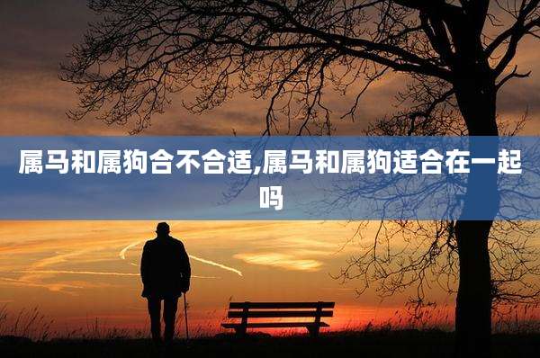 属马和属狗合不合适,属马和属狗适合在一起吗