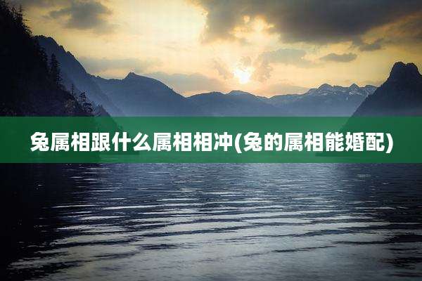 兔属相跟什么属相相冲(兔的属相能婚配)