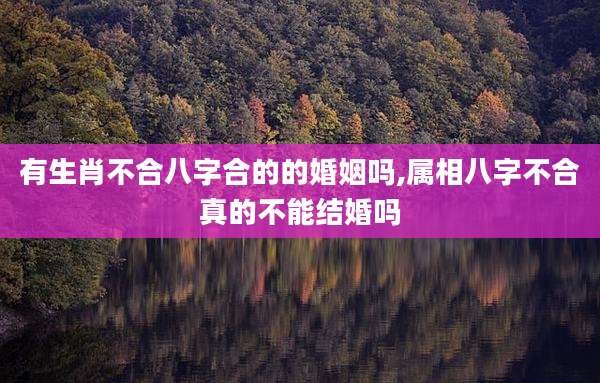 有生肖不合八字合的的婚姻吗,属相八字不合真的不能结婚吗