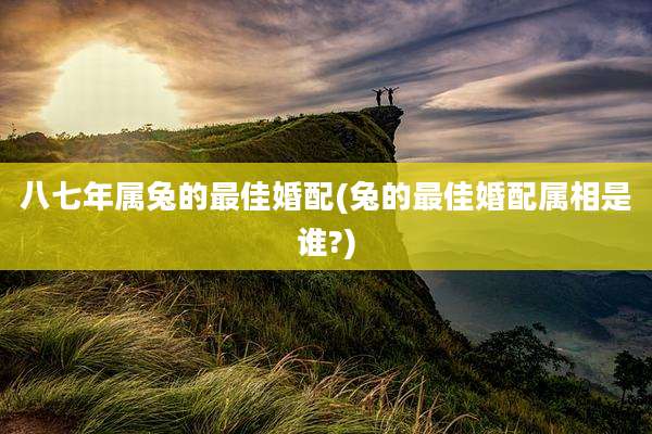 八七年属兔的最佳婚配(兔的最佳婚配属相是谁?)