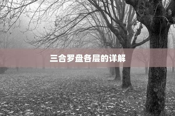 三合罗盘各层的详解
