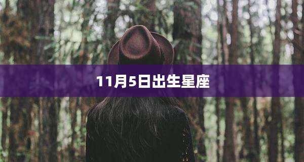 11月5日出生星座