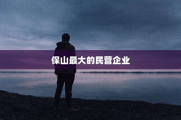 保山最大的民营企业
