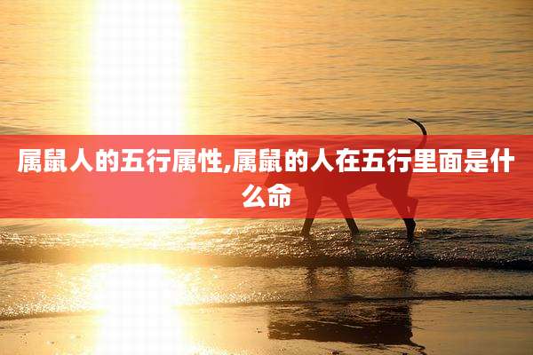 属鼠人的五行属性,属鼠的人在五行里面是什么命