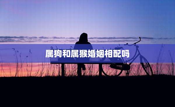 属狗和属猴婚姻相配吗