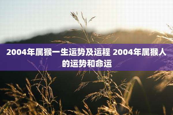 2004年属猴一生运势及运程 2004年属猴人的运势和命运