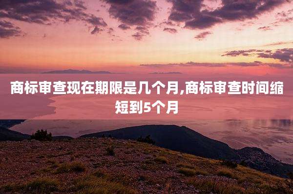 商标审查现在期限是几个月,商标审查时间缩短到5个月