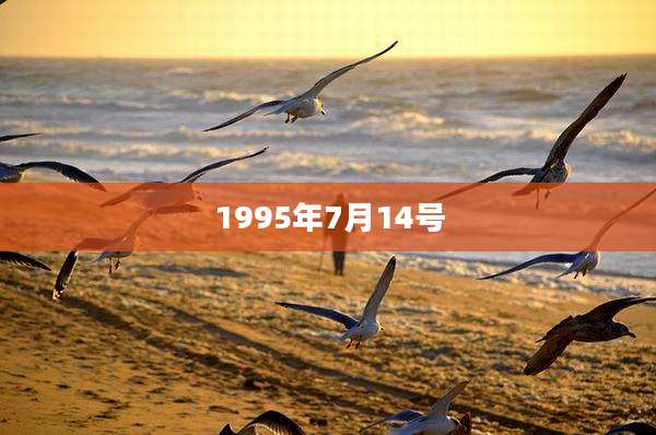 1995年7月14号