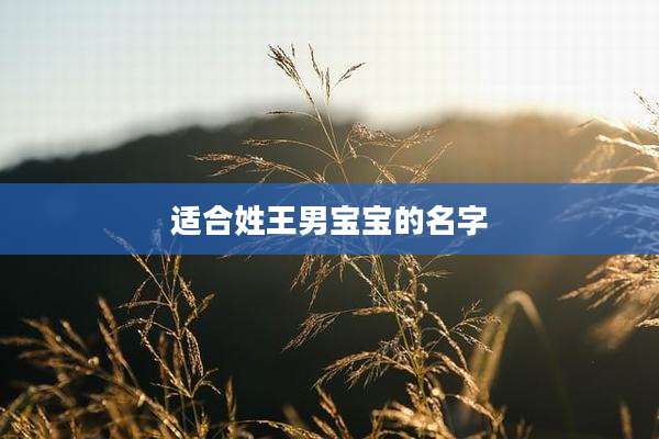适合姓王男宝宝的名字