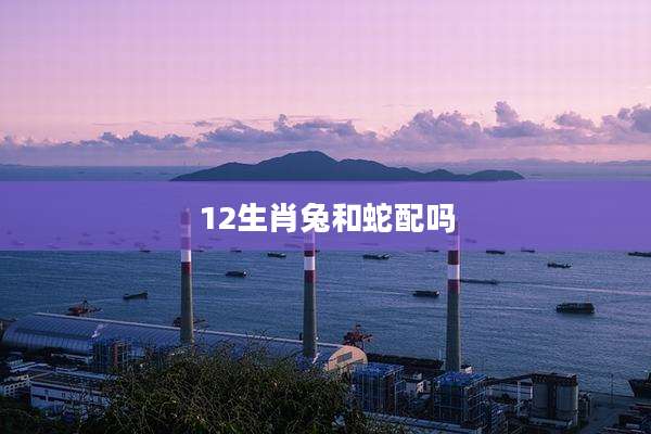 12生肖兔和蛇配吗