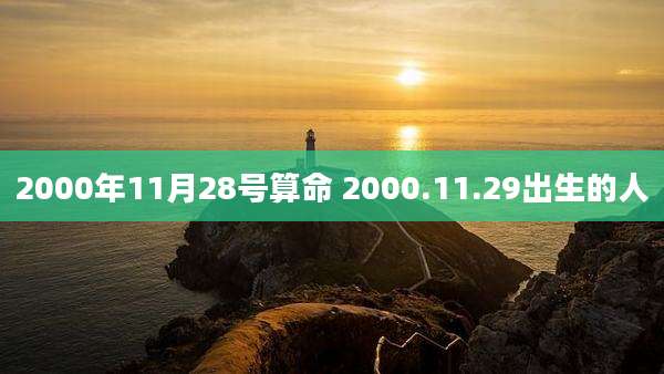 2000年11月28号算命 2000.11.29出生的人