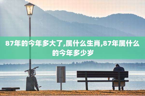 87年的今年多大了,属什么生肖,87年属什么的今年多少岁