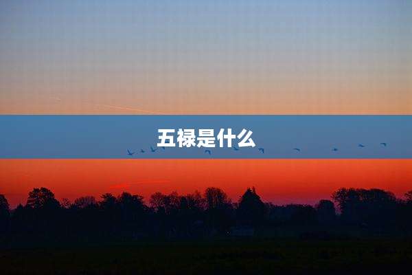 五禄是什么