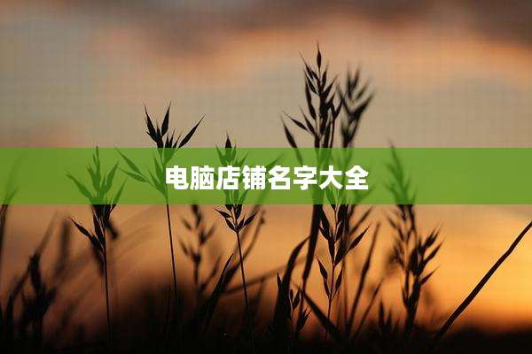 电脑店铺名字大全