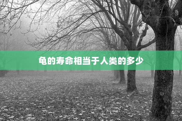 龟的寿命相当于人类的多少