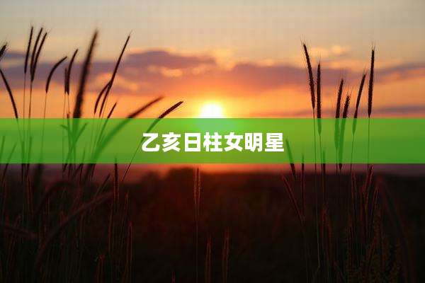 乙亥日柱女明星