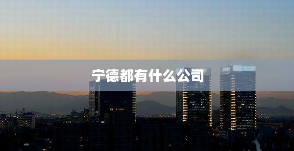 宁德都有什么公司
